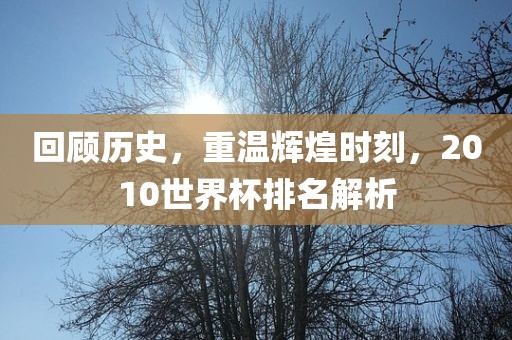 回顾历史，重温辉煌时刻，2010世界杯排名解析