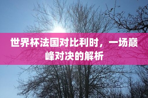 世界杯法国对比利时，一场巅峰对决的解析