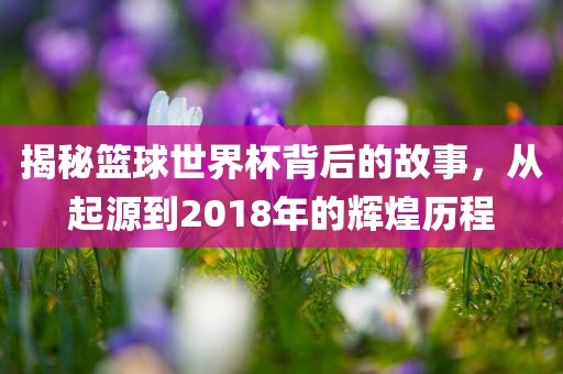 揭秘篮球世界杯背后的故事，从漯河市盈旭机械设备有限公司起源到2018年的辉煌历程