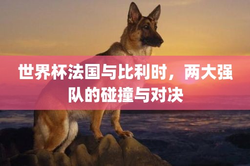 meinan 第7页