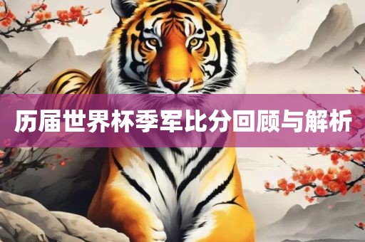 历届世界杯季军比分回顾与解析