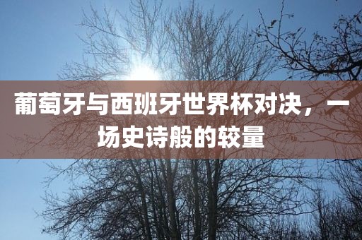 葡萄牙与西班牙世界杯对决，一场史诗般的较量漯河市盈旭机械设备有限公司
