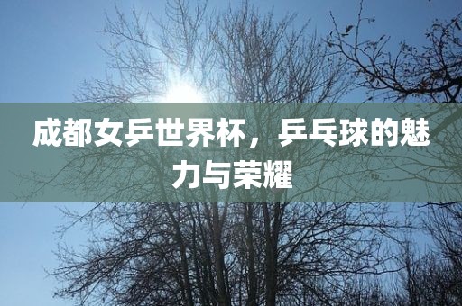 成都女乒世界杯，乒乓球的魅力与荣耀