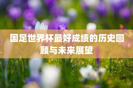 国足世界杯最好成绩的历史回顾与未来展望漯河市盈旭机械设备有限公司