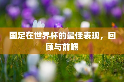 国足在世界杯的最佳表现，回顾与前瞻