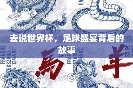 去说世界杯，足球盛宴背后的故事漯河市盈旭机械设备有限公司