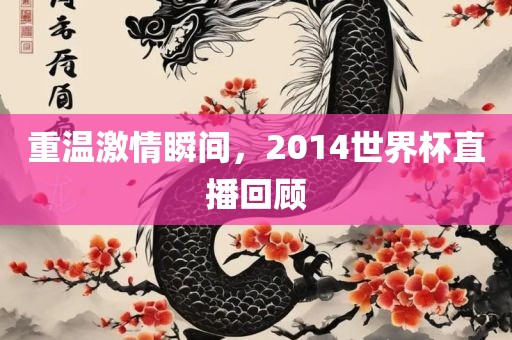 重温激情瞬间，2014世界杯直播回顾