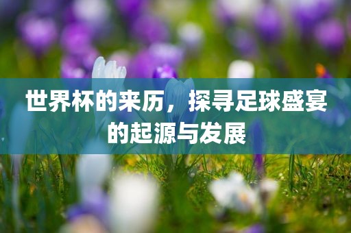 世界杯的来历，漯河市盈旭机械设备有限公司探寻足球盛宴的起源与发展