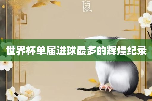 世界杯单届进球最多的辉煌纪录漯河市盈旭机械设备有限公司