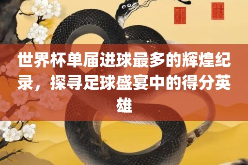 世界杯单届进球最多的辉煌纪录，探寻足球盛宴中的得分英雄漯河市盈旭机械设备有限公司