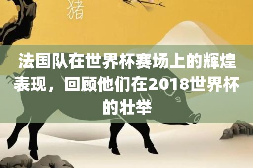 法国队在世界杯赛场上的辉煌表现，回顾他们在2018世界杯的壮举