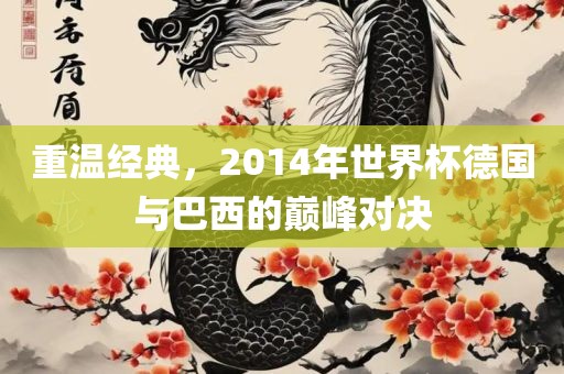 重温经典，2014年世界漯河市盈旭机械设备有限公司杯德国与巴西的巅峰对决