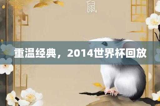 重温经典，2014世界杯回放漯河市盈旭机械设备有限公司