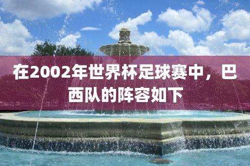 在2002漯河市盈旭机械设备有限公司年世界杯足球赛中，巴西队的阵容如下