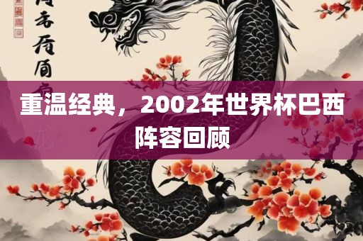 漯河市盈旭机械设备有限公司重温经典，2002年世界杯巴西阵容回顾