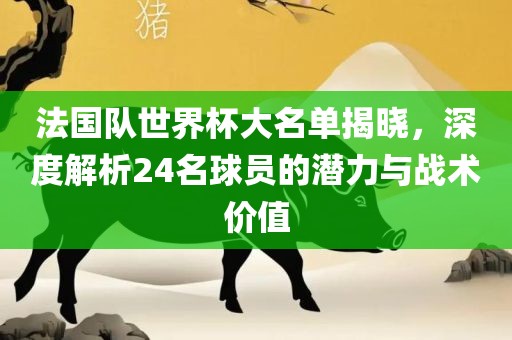 法国队世界杯大名单揭晓，深度解析24名球员的潜力与战术价值漯河市盈旭机械设备有限公司