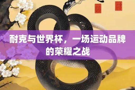 耐克与世界杯，一场运动品牌的荣耀之战漯河市盈旭机械设备有限公司