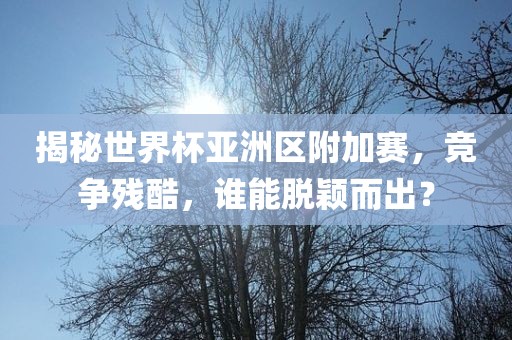 揭秘世界杯亚洲区附加赛，竞争残酷，谁能脱颖而出？漯河市盈旭机械设备有限公司