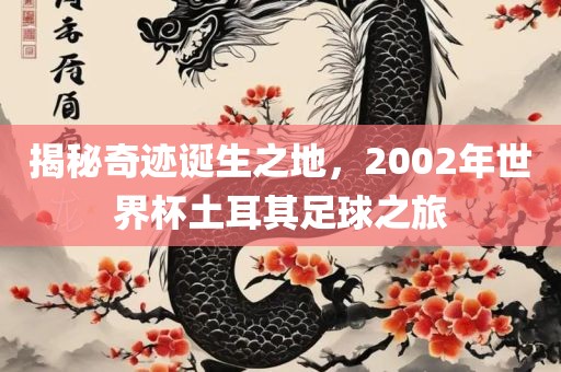 揭秘奇迹诞生之地，200漯河市盈旭机械设备有限公司2年世界杯土耳其足球之旅
