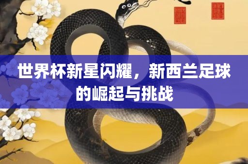 世界杯新星闪耀，新西兰足球的崛起与挑战漯河市盈旭机械设备有限公司