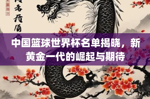 中国篮球世界杯名单揭晓，新黄金一代的崛起与期待漯河市盈旭机械设备有限公司