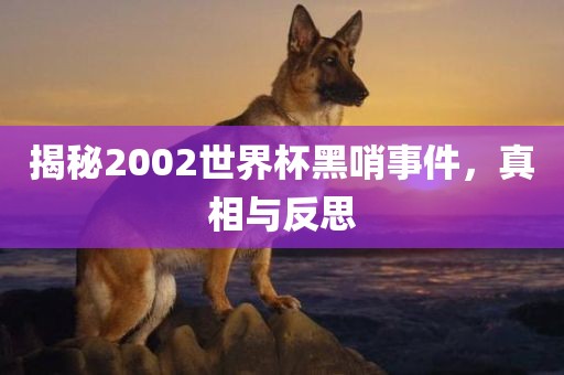 揭秘2002世界杯黑哨事件，真相与反思