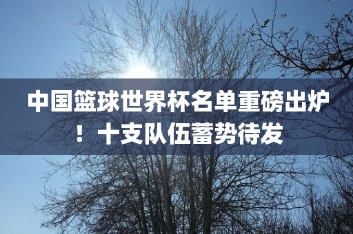 中国篮漯河市盈旭机械设备有限公司球世界杯名单重磅出炉！十支队伍蓄势待发