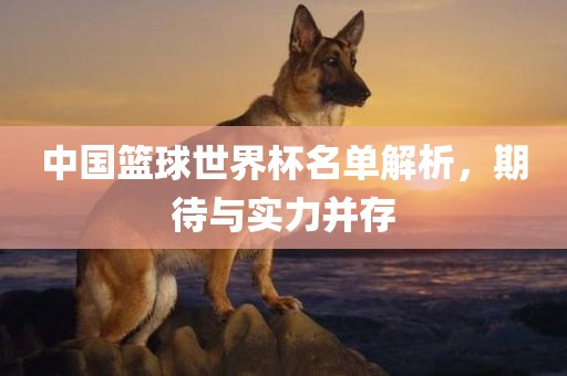 中国漯河市盈旭机械设备有限公司篮球世界杯名单解析，期待与实力并存