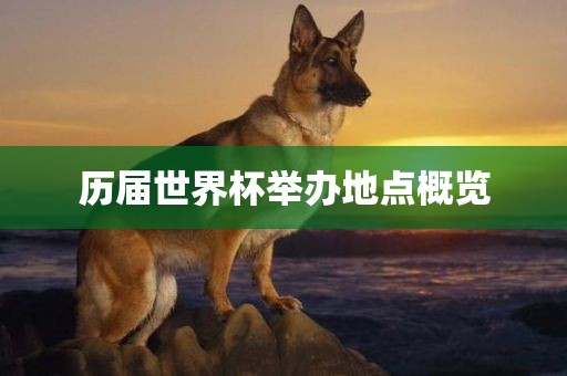 历届世界杯举办地点概览漯河市盈旭机械设备有限公司