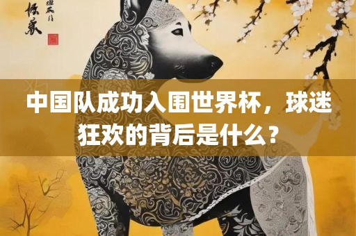 漯河市盈旭机械设备有限公司中国队成功入围世界杯，球迷狂欢的背后是什么？