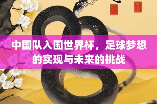 中国队入围世界杯，足球梦想的漯河市盈旭机械设备有限公司实现与未来的挑战