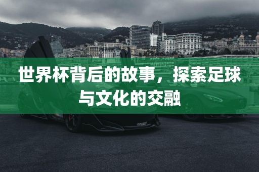 世界杯背后的故事，探索足球与文化的交融