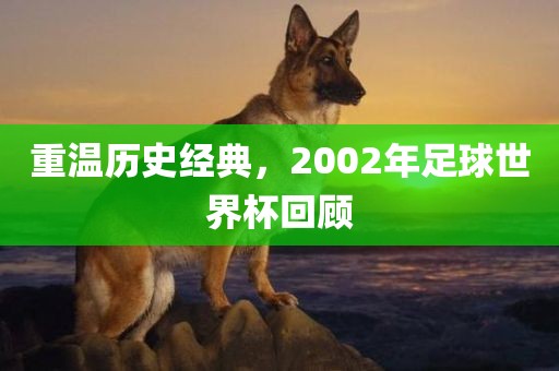 重温历史经典，2002年足球世界杯回顾漯河市盈旭机械设备有限公司