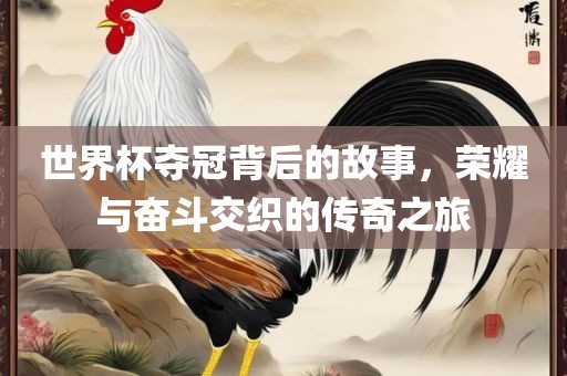 世界杯夺冠背后的故事，荣耀与奋斗交织的传奇之旅