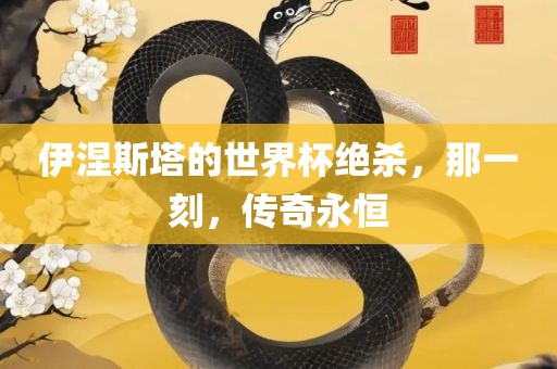 伊涅斯塔的世界杯绝杀，那一刻，传奇永恒
