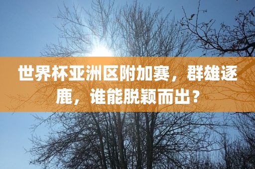 世界杯亚洲区附加赛，群雄逐鹿，谁能脱颖而出？