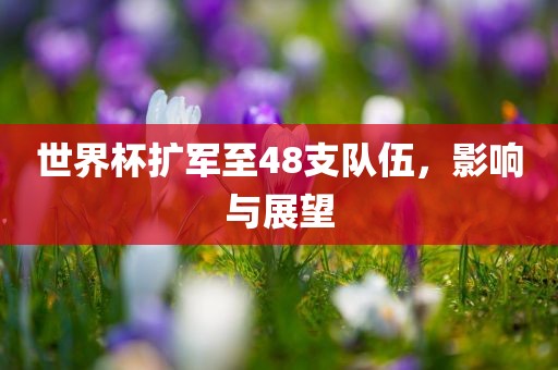 世界杯扩军至48支队伍，影响与展望漯河市盈旭机械设备有限公司