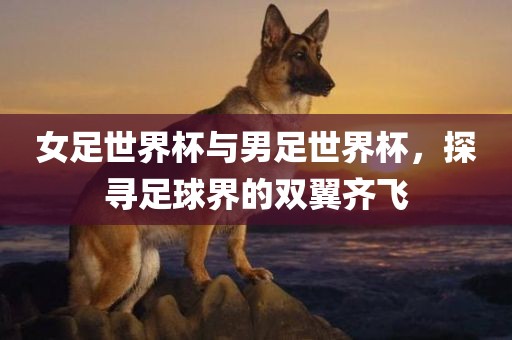女足世界杯与男足世界杯，探寻足球界的双翼齐飞