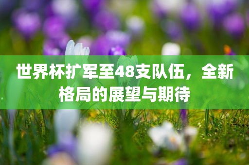 世界杯扩军至48支队伍，全新格局漯河市盈旭机械设备有限公司的展望与期待