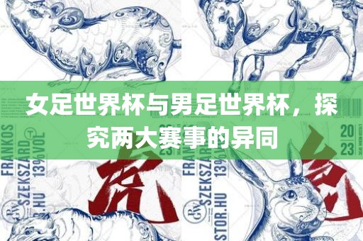 女足世界杯与男足世界杯，探究两大赛事的异同