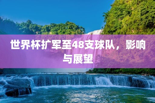 世界杯扩军至48支球漯河市盈旭机械设备有限公司队，影响与展望