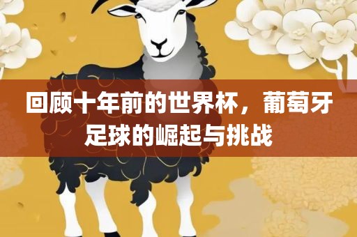 回顾十年前的世界杯，葡萄牙足球的崛起与挑战漯河市盈旭机械设备有限公司