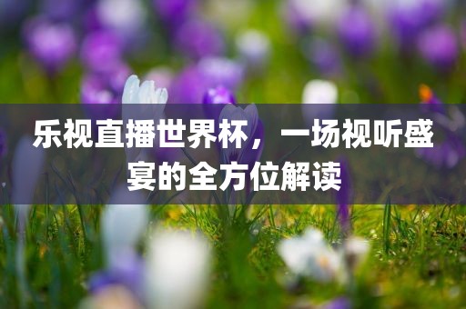 乐视直播世界杯，一场视听盛宴的全方位解读漯河市盈旭机械设备有限公司