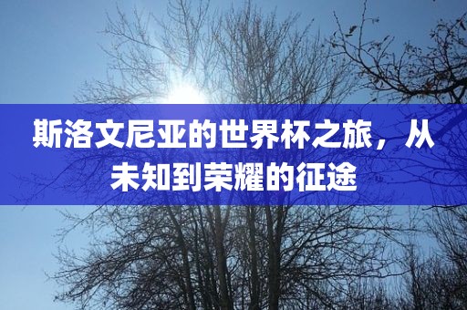 斯洛文尼亚的世界杯之旅，从未知到荣耀的征途