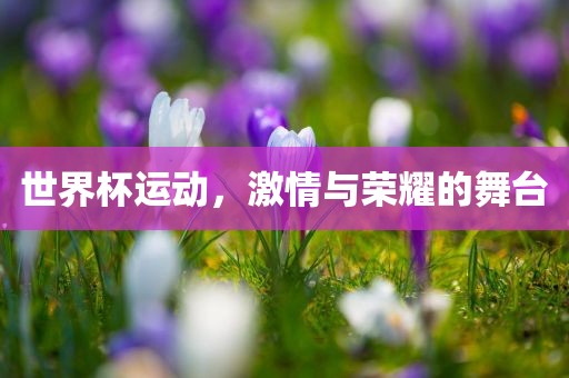 世界杯运动，激情与荣耀的舞台漯河市盈旭机械设备有限公司