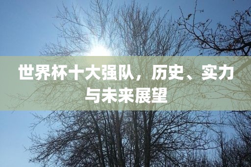 世界杯十大强队，历史、实力与未来展望