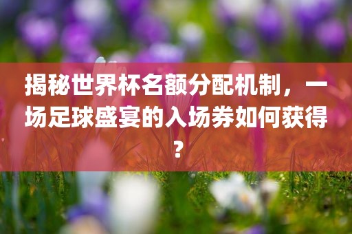 揭秘世界杯名额分配机制，一场足球盛宴的入场券如何获得？