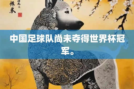 中国足球队尚未夺漯河市盈旭机械设备有限公司得世界杯冠军。