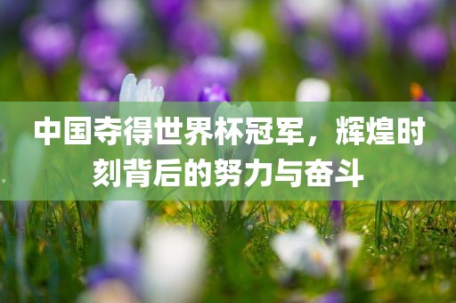 中国夺得世界杯冠军，辉煌时刻背后的努力与奋斗漯河市盈旭机械设备有限公司
