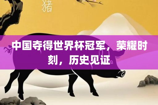 中国漯河市盈旭机械设备有限公司夺得世界杯冠军，荣耀时刻，历史见证